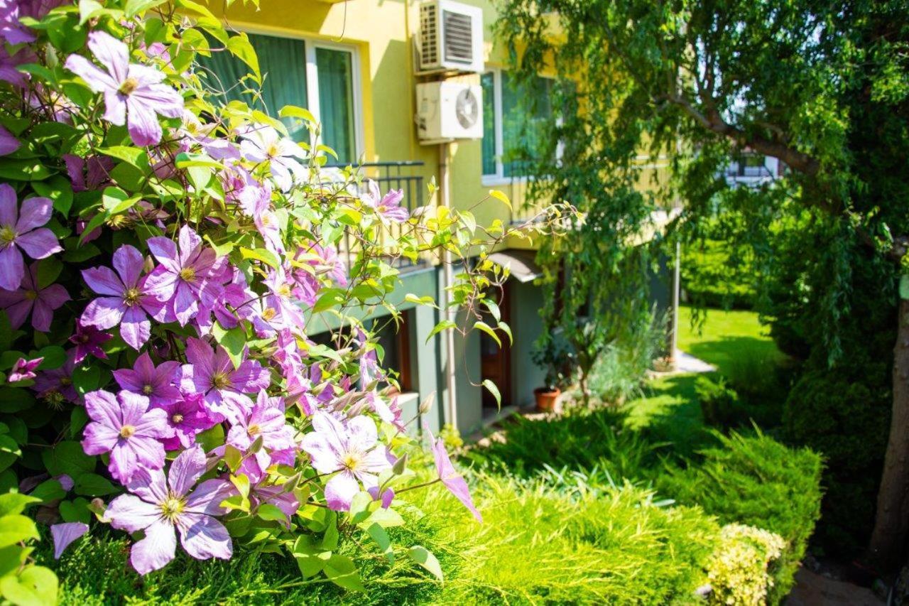 Вила Костадинов Varna Eksteriør bilde